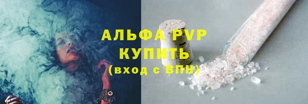 МДПВ Каменка