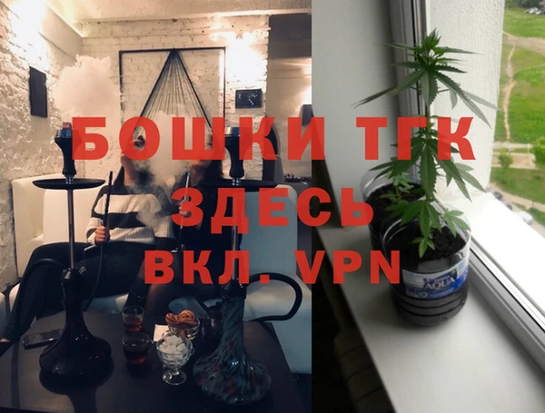 МДПВ Каменка