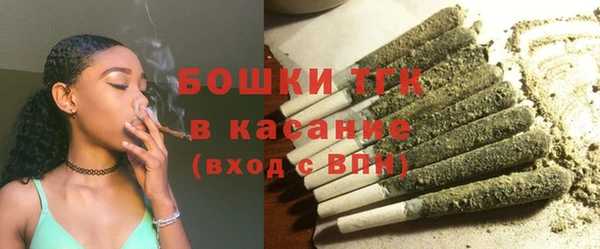 МДПВ Каменка