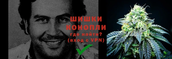 МДПВ Каменка