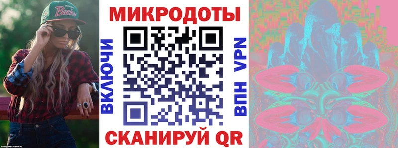 Псилоцибиновые грибы Psilocybine cubensis  Кимовск 